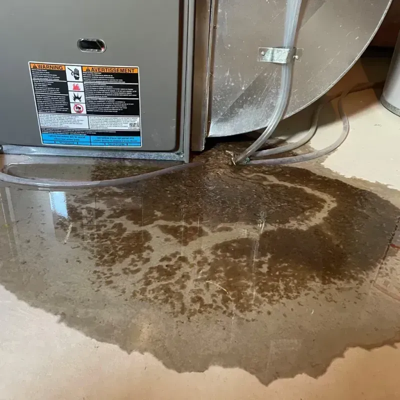 Appliance Leak Cleanup in Baldwin, PA